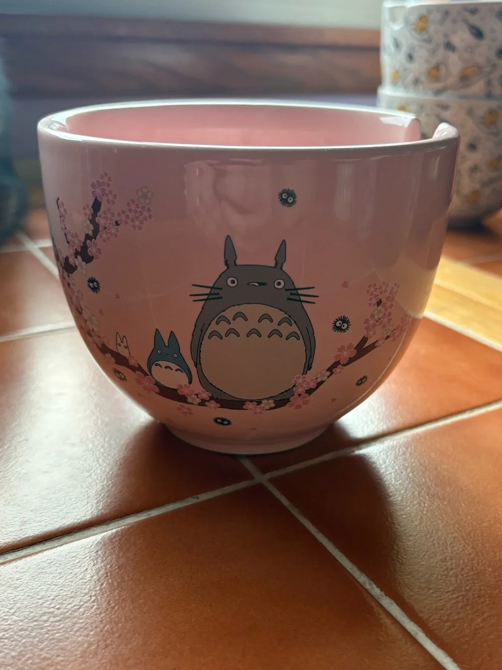 My Neighbor Totoro ramen noodle bowl